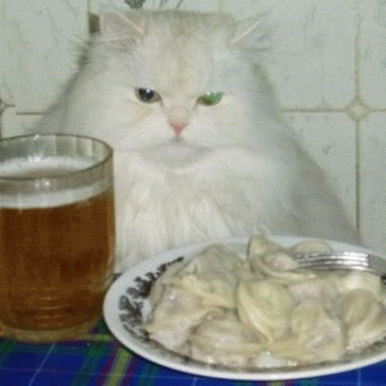 Sloth (USA-2) : Your Pierogies Is at My House